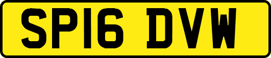 SP16DVW