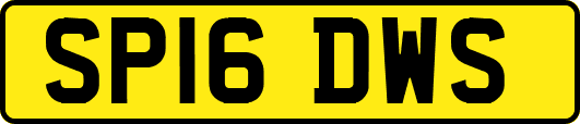 SP16DWS