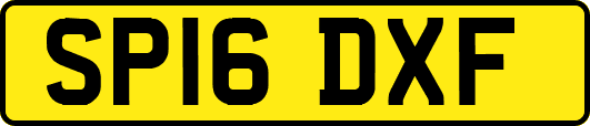 SP16DXF