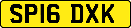 SP16DXK