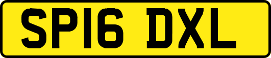 SP16DXL