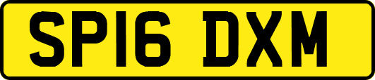 SP16DXM