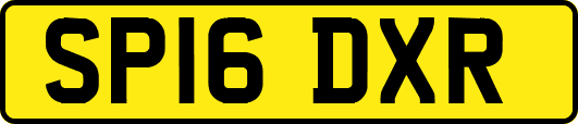 SP16DXR