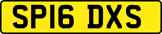 SP16DXS