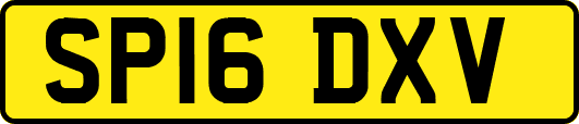 SP16DXV