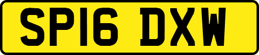 SP16DXW