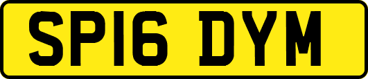 SP16DYM