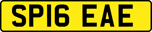 SP16EAE