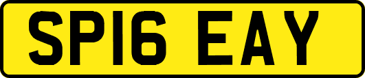 SP16EAY