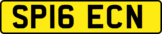 SP16ECN