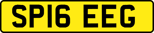 SP16EEG