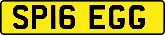 SP16EGG