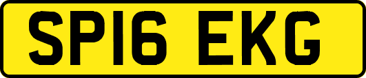SP16EKG
