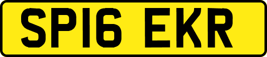 SP16EKR