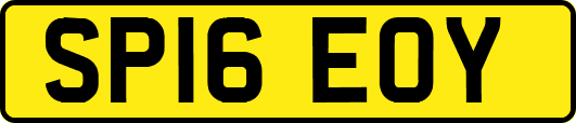 SP16EOY