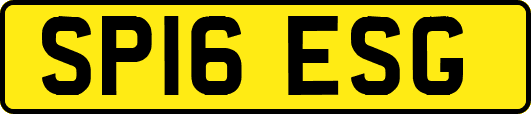 SP16ESG