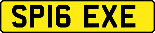 SP16EXE