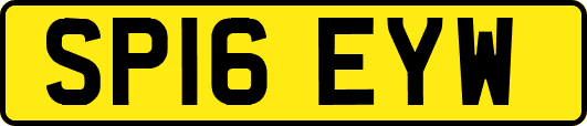 SP16EYW