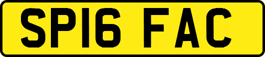SP16FAC