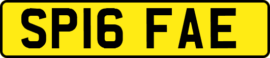 SP16FAE