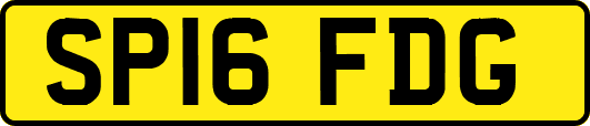 SP16FDG