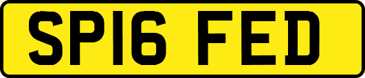 SP16FED