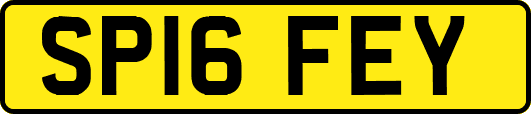 SP16FEY