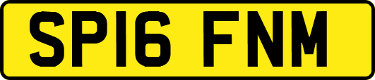 SP16FNM