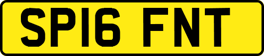 SP16FNT