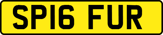 SP16FUR