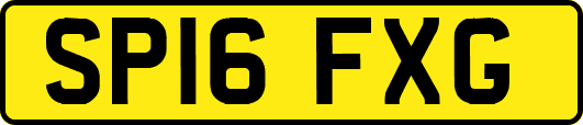 SP16FXG