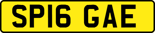 SP16GAE