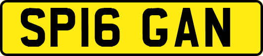 SP16GAN