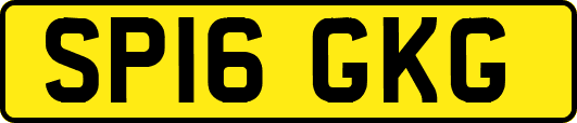 SP16GKG