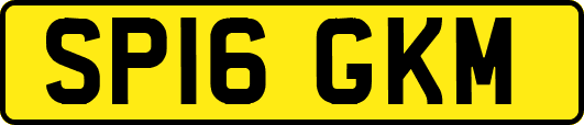 SP16GKM