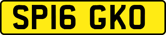 SP16GKO