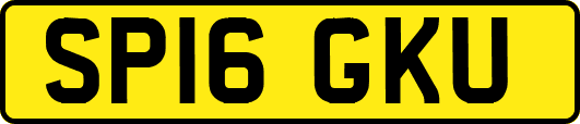 SP16GKU