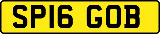 SP16GOB