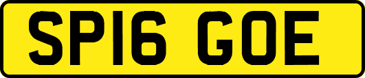 SP16GOE