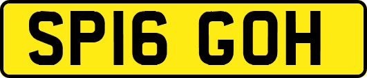 SP16GOH