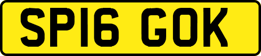 SP16GOK