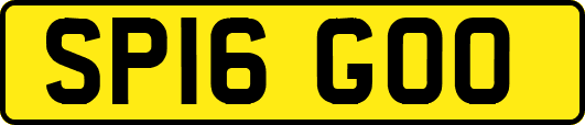 SP16GOO