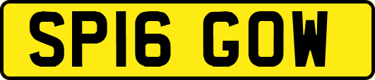 SP16GOW