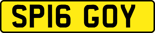 SP16GOY