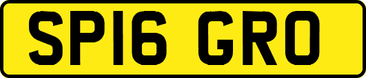 SP16GRO