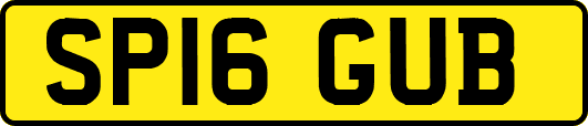 SP16GUB