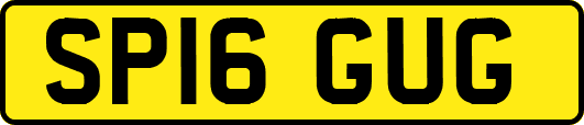 SP16GUG