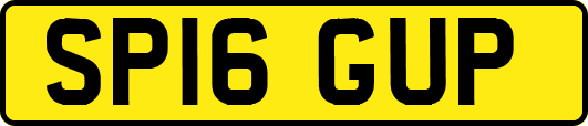 SP16GUP