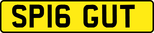 SP16GUT