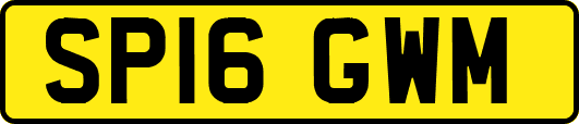 SP16GWM